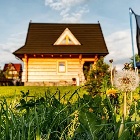 度假居 Chocholowskie *